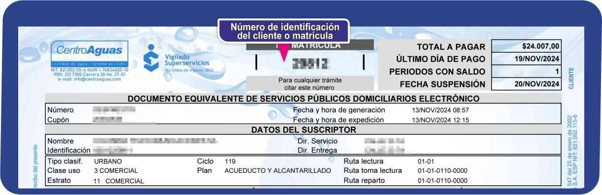 Número de matrícula ubicado en la parte superior de la factura Número de matrícula ubicado en la parte superior de la factura