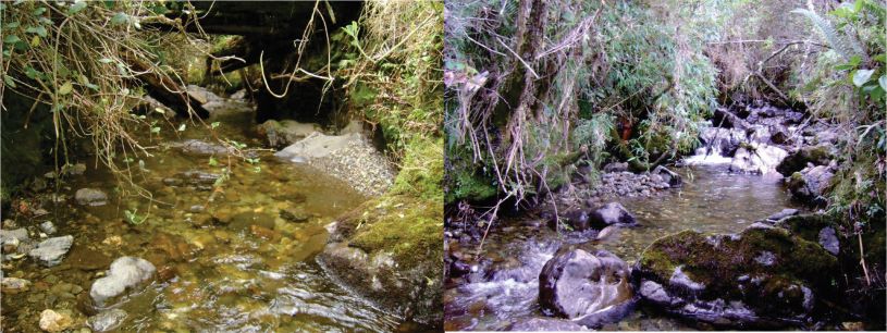 sector de la Rivera donde se va a intervenir Diseño de dos fotografía del sector de la Rivera donde se va a intervenir