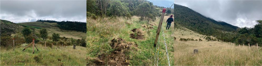 acciones de protección y conservación de la cuenca hidrográfica del rio Tuluá